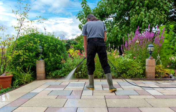 Best Sidewalk and Walkway Cleaning  in Hunters Creek, FL